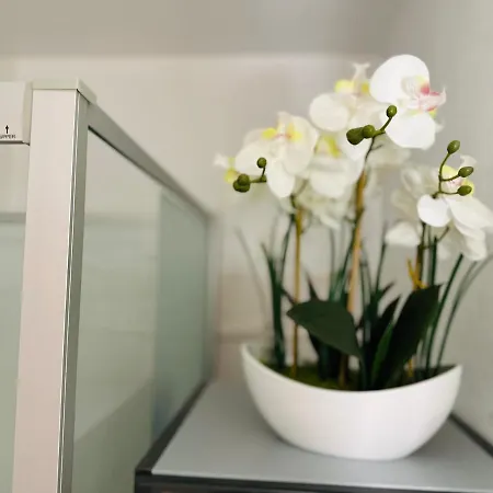 Superbe En Baie De Somme Διαμέρισμα Cayeux-sur-Mer